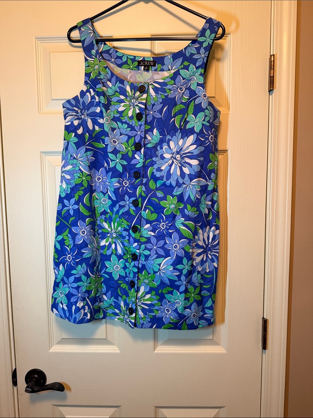 J. Crew Blue Floral Button-Front Sleeveless Dress
